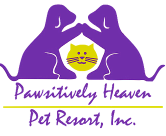 Pet Boarding and Dog Daycare